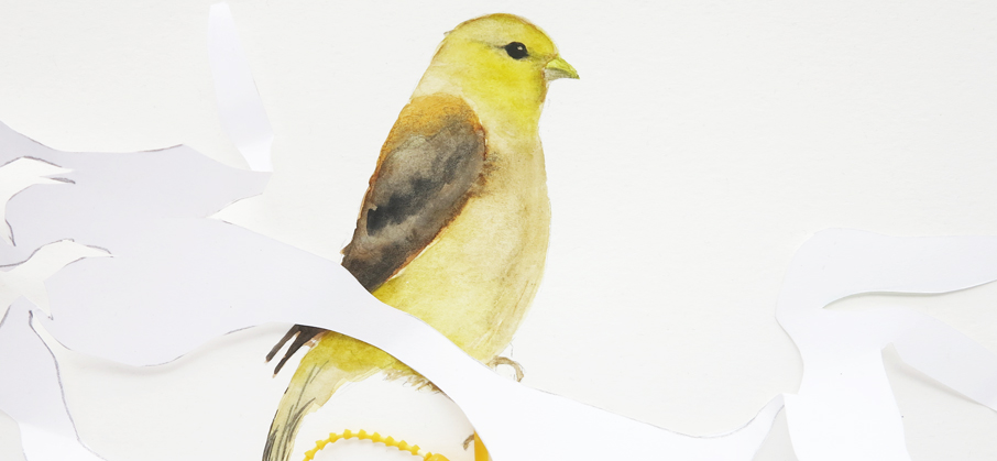 Goldfinch detail upcoming Tenlawson exhibition
